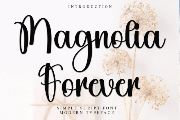 Magnolia Forever: A Script Font with Heart and Character