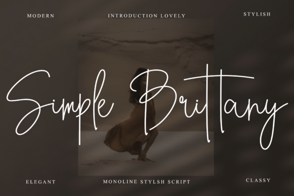 Simple Brittany: The Font That Made My Campaign Click